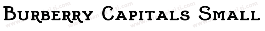 Burberry Capitals Small Regular字体转换